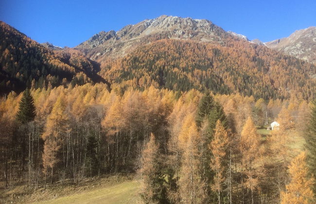 Group Apartment - Foto 34