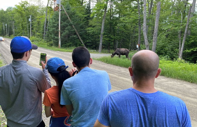 Historic barn at Moosehead Lake - Photo 24