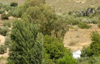 El Molino de las Palomas - Foto 76