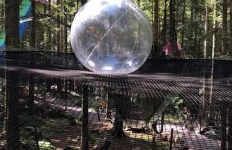 Chalet 10 pers sauna & SPA La tanière des Vosges - Foto 69