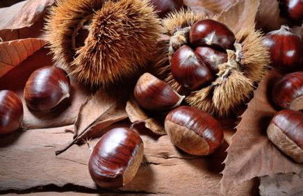 La casa di Giada - Foto 59