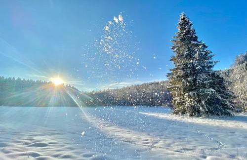 Traumfabrik Eifel mit Sauna & Whirlpool - Foto 25