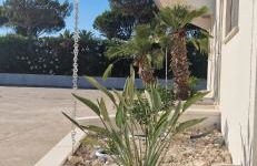 Podilimbo - Ilios e Thalassa - Foto 36