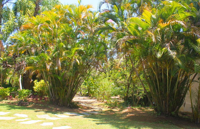 Hotel Tia Dora - Photo 60