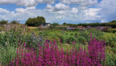 2 Bed in Yoxford oc-hploug - Foto 2, Other