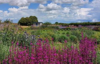 2 Bed in Yoxford oc-hploug - Foto 2