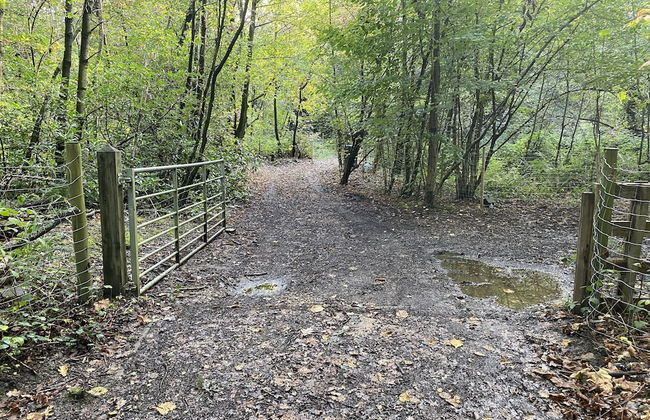 Private and Secluded Cabin in Rowfant - Foto 18