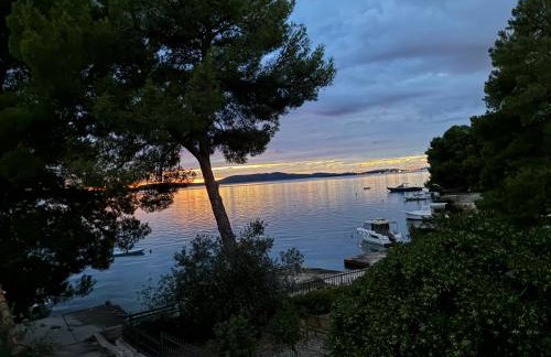 Perla & Palma - Foto 32