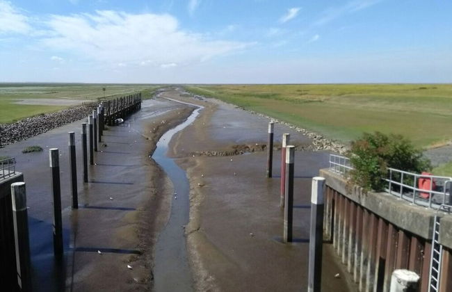 Home Port Modern Retreat - Foto 10