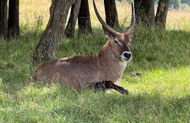 Osada Jaćwingów - Foto 29