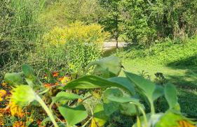 Pod Smerekiem - Photo 28