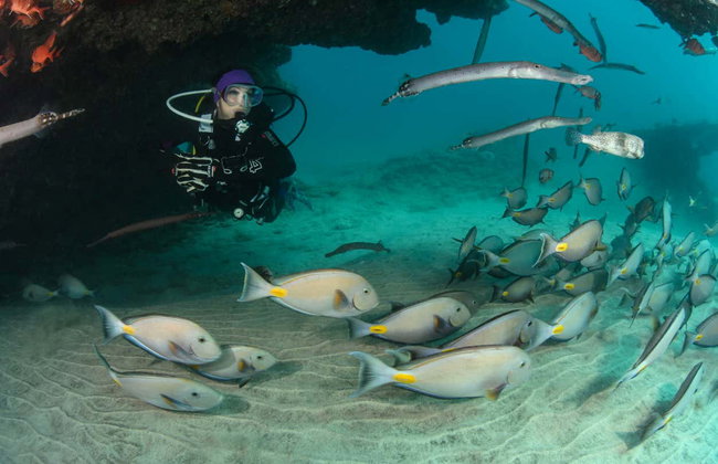 Bautismo de buceo en la isla de Sal - Foto 7