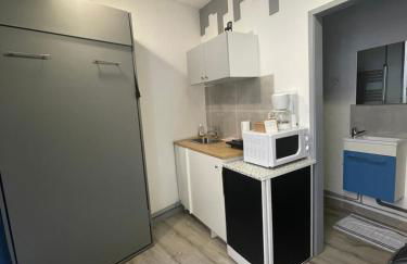 Ambert CentreVille La Studette tout confort - Foto 3