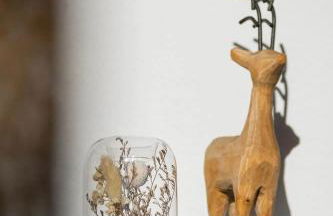 Anima - Atem, Körper und Geist - Foto 16