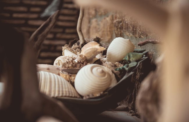 Kalogirou Stone House - Foto 72