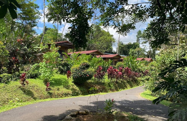 Villas Josipek - Foto 39