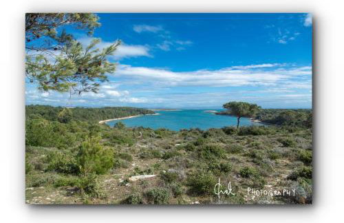 Bonvenon2Volme Apt&Room - Photo 25