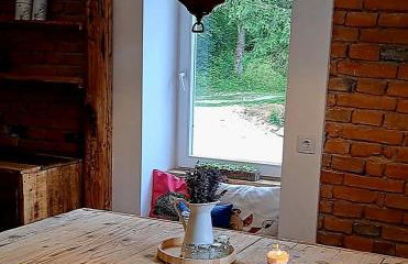 Gospodarstwo agroturystyczne Ryznerówka - Foto 22