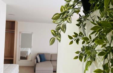 Apartamentos Limar Portonovo - Sanxenxo - Foto 16