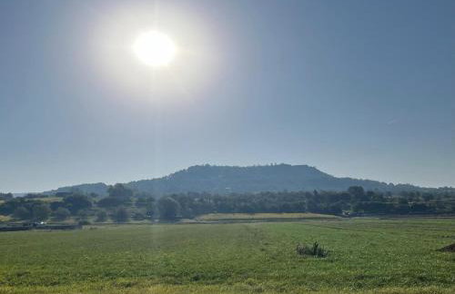 Ferienwohnung am Walberla - Foto 22
