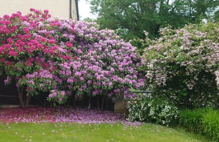 Ferienwohnung Lebensfreude Höxter im Weserbergland - Foto 13