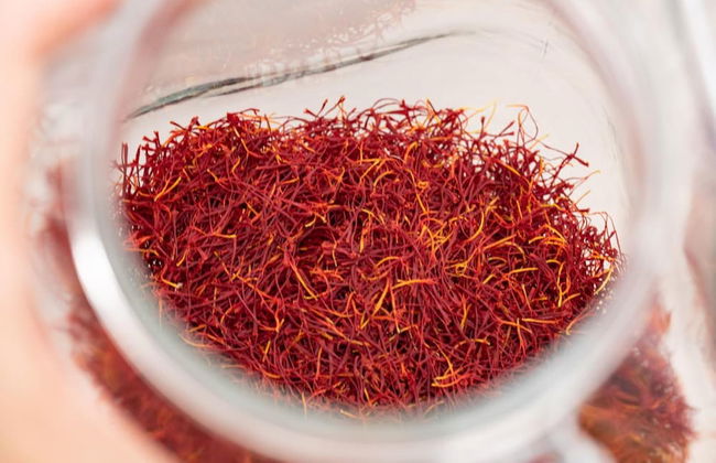 Panacea Residence - Foto 10