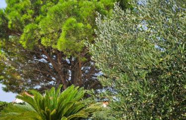 Apartment Milada - Photo 9