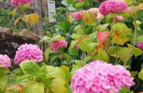 All ' ombra del lauro - Foto 25