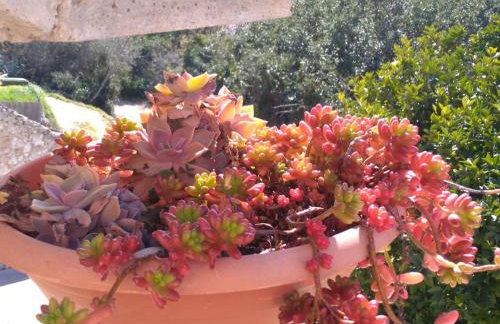 Holiday Home Rubinić - Foto 11