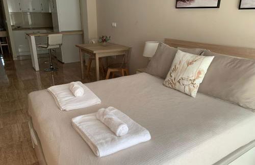 Apartamentos Hernán Cortés - Foto 9