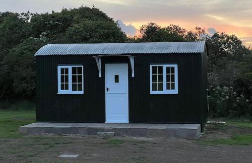 Dinky's Den - Foto 20