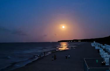 FeWo Renken - Foto 43