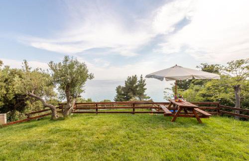 Green & Blue Experience - Foto 30