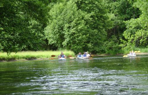 Dom Geografów - Foto 15