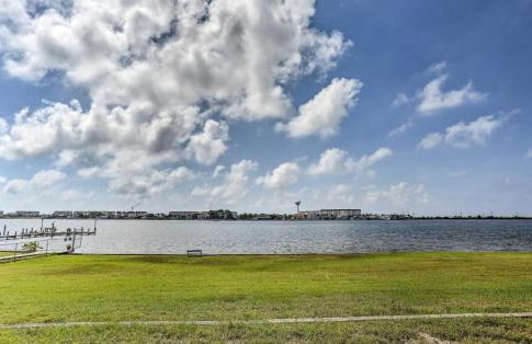 Sea Palm G - Foto 17