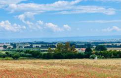 Antico Borgo sul Mare - Foto 47