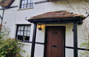 Little Lucy - Foto 13