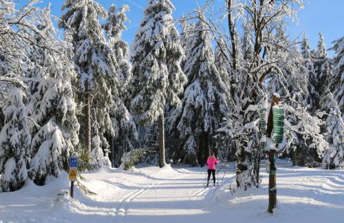Thüringer Wald-Zauber - Foto 30