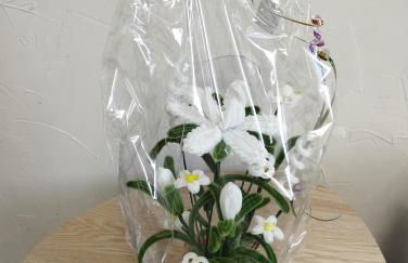 Chez Jérôme, au pied de la cité médiévale - Foto 18