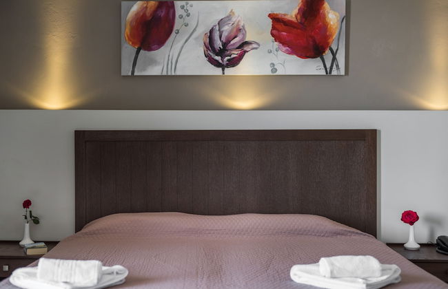 Mirtilos Studios & Apartments - Foto 24