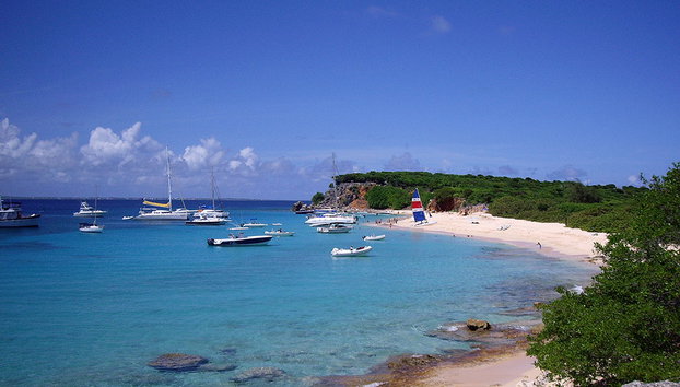 Navegue por la costa de St Maarten y nade con tortugas - Foto 5