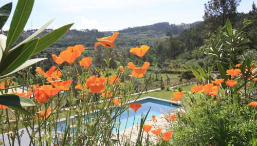 Dantas Village - Foto 4