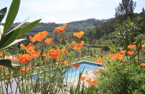 Dantas Village - Foto 4