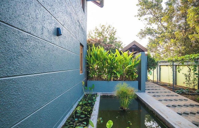 Hibiscus Earth - CGH Earth - Foto 20