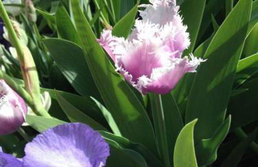 Cortijo La Viñuela - Foto 59