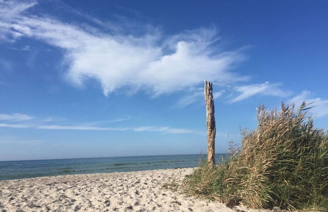 Baltic Sea Dromelhus - Foto 26