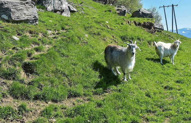 6 Person Holiday Home in Onarheim - Foto 26