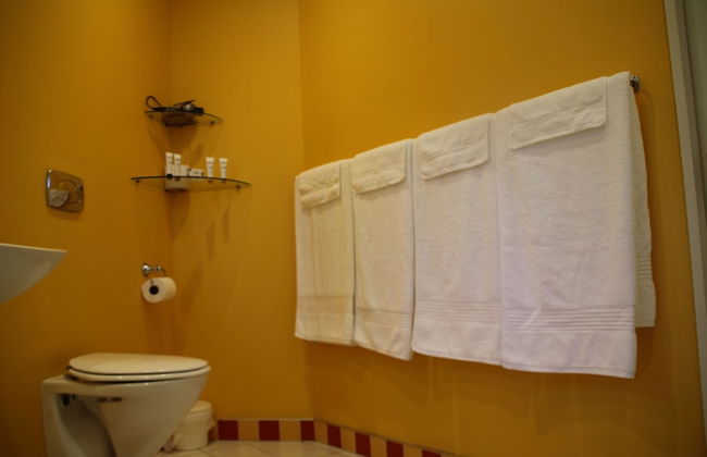 Silverstream Alpaca Farmstay and Tour - Foto 10