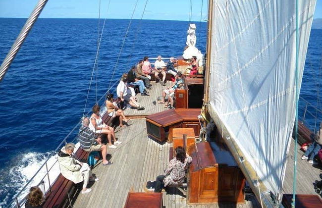 Schooner Boat Ride + Whale Watching - Photo 6