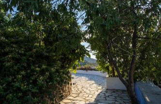 Secret Garden, a little paradise of tranquility. - Photo 19